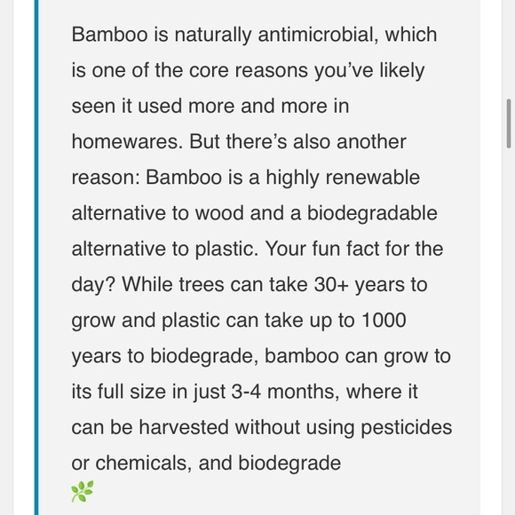 NEW Core Bamboo Serve Set - Picture 3 of 8